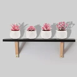 CASTNOO Set Of 4 Succulents Plants Artificial, Mini Fake Succulents For Women Office, Faux Succulents Decor, Artificial Succulents In Ceramic Pots For Desk, Home, Shelf Decorations -Artificial Trees Store 310J7r1B2kL