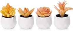 Tiita Artificial Faux Succulents In Pots Fake Plants Ceramic Arrangement Planter Small Mini Tiny Decoration For Home Office Desk Window Sill Bathroom Bedroom Outdoor Indoor -Artificial Trees Store 313XhzoyhHL. AC 1