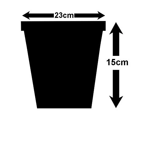 Best Artificial Pair Of 5ft 150cm Boxwood Buxus Spiral Topiary Trees 7 Best Artificial Pair Of 5ft 150cm Boxwood Buxus Spiral Topiary Trees - Image 5