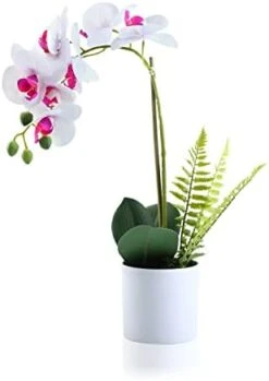 Meneco Small Fake Plant Potted - Faux Plant Indoor Plant Artificial Potted Plant Decor For Home And Office (16", Monstera Leaf) -Artificial Trees Store 319yGm4CcAL. AC
