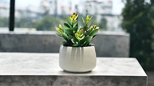 Kurrajong Farmhouse Faux Succulent In Pot - Faux Plants Decor - 7" X 4.5" - Feaux Plant In Pot - Fake Succulent Potted Plant For Home Decor Indoor 6 Kurrajong Farmhouse Faux Succulent In Pot - Faux Plants Decor - 7" X 4.5" - Feaux Plant In Pot - Fake Succulent Potted Plant For Home Decor Indoor - Image 4