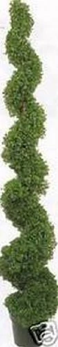 One 6 Foot 3 Inch Artificial Boxwood Spiral Topiary Tree Potted Indoor Or Outdoor
