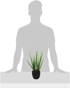 Beebel Artificial Succulent Fake Aloe For Bathroom Home Office Decor,Faux Succulent Plant With Black Plastic Planter,Artificial Potted Plant For House Decor (Aloe Succulent/13 Leaf) 15 Beebel Artificial Succulent Fake Aloe For Bathroom Home Office Decor,Faux Succulent Plant With Black Plastic Planter,Artificial Potted Plant For House Decor (Aloe Succulent/13 Leaf) -Artificial Trees Store 31GWFFrnxSL