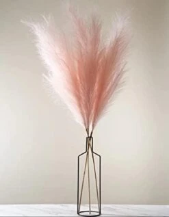 Boho Wish Faux Pampas Grass Decor Tall Set Of 7 PCs -40 Inches Non-Shedding, Floor And Office Vase Filling-Fluffy Floral Branches -Wedding Decor- Home And Bedroom Table Decoration (Brown) 20 Boho Wish Faux Pampas Grass Decor Tall Set Of 7 PCs -40 Inches Non-Shedding, Floor And Office Vase Filling-Fluffy Floral Branches -Wedding Decor- Home And Bedroom Table Decoration (Brown) -Artificial Trees Store 31GqgLsUVQL. AC