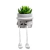 AEMYMTW Fake Potted Plants – Cute Artificial Succulents With Funny Ceramic Pot – Animated Hanging Plants Artificial Décor For Home And Office – Safe And Secure Packaging - 6.9 X 5.29 X 5.25 Inch -Artificial Trees Store 31IpDFC8uPL