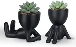Galiejar Fake Succulents,Mini Succulents Plants Artificial With Ceramic Pots,Cute Home Decor Bathroom Decor Desk Decor Bedroom Decor Office Decor For Women (2Pack, Black) 13 Galiejar Fake Succulents,Mini Succulents Plants Artificial With Ceramic Pots,Cute Home Decor Bathroom Decor Desk Decor Bedroom Decor Office Decor For Women (2Pack, Black) -Artificial Trees Store 31OlpZnSKUL. AC
