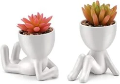 WOODWORD Fake Succulent, Mini Succulents Plants Artificial In Black Modern Human Shaped Ceramic Pots Cute Desk Decor For Office Decor For Women, Bathroom 2PCS 21 WOODWORD Fake Succulent, Mini Succulents Plants Artificial In Black Modern Human Shaped Ceramic Pots Cute Desk Decor For Office Decor For Women, Bathroom 2PCS -Artificial Trees Store 31Pb2BvRAWL. AC