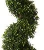 Silk Decor 6-Feet Pond Boxwood Spiral Topiary Plant, Green -Artificial Trees Store 31Q9MApzxgL