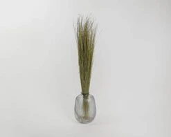 Dried Décor Dune Grass - Perfect For Home Décor, Vases, Wedding, Floral Arrangements, Garden, Office 10 Dried Décor Dune Grass - Perfect For Home Décor, Vases, Wedding, Floral Arrangements, Garden, Office -Artificial Trees Store 31QHTPSjsrL