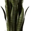 Nearly Natural, Green 4855 35in. Sansevieria With Black Planter