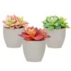 Mingfuxin Artificial Plants, 3 Pack Realistic Faux Succulents In Pots With Flowers For Indoor Office Desk Decor Home Bedroom -Artificial Trees Store 31U1skAhB6L