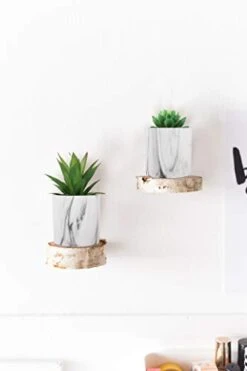 C APPOK Artificial Succulents Plants Faux Succulent Flocking Potted Plants - 4 Pack Fake Succulents Decorative Green Potted Plant In Pots For Home, Desk Decor, Office Decoration 10 C APPOK Artificial Succulents Plants Faux Succulent Flocking Potted Plants - 4 Pack Fake Succulents Decorative Green Potted Plant In Pots For Home, Desk Decor, Office Decoration -Artificial Trees Store 31UzQemyAZL