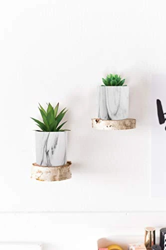 C APPOK Artificial Succulents Plants Faux Succulent Flocking Potted Plants - 4 Pack Fake Succulents Decorative Green Potted Plant In Pots For Home, Desk Decor, Office Decoration 4 C APPOK Artificial Succulents Plants Faux Succulent Flocking Potted Plants - 4 Pack Fake Succulents Decorative Green Potted Plant In Pots For Home, Desk Decor, Office Decoration - Image 2