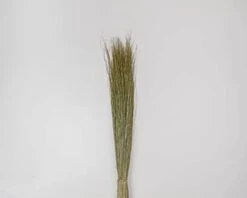 Dried Décor Dune Grass - Perfect For Home Décor, Vases, Wedding, Floral Arrangements, Garden, Office 11 Dried Décor Dune Grass - Perfect For Home Décor, Vases, Wedding, Floral Arrangements, Garden, Office -Artificial Trees Store 31XeRn6AInL