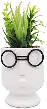 ALIWINER Artificial Succulents Plants With Ceramic Pot Decor Figurines Living Room Decor Home Decoration 10 ALIWINER Artificial Succulents Plants With Ceramic Pot Decor Figurines Living Room Decor Home Decoration - Image 8