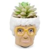 Silver Buffalo The Golden Girls Sophia Face Mini Ceramic Planter Decor | Official TV Show Collectible | Small Flower Pot For Indoor Plants, Includes Artificial Succulent | 3 Inches -Artificial Trees Store 31hQdN1wNkS