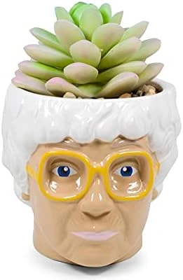 Silver Buffalo The Golden Girls Sophia Face Mini Ceramic Planter Decor | Official TV Show Collectible | Small Flower Pot For Indoor Plants, Includes Artificial Succulent | 3 Inches 11 Silver Buffalo The Golden Girls Sophia Face Mini Ceramic Planter Decor | Official TV Show Collectible | Small Flower Pot For Indoor Plants, Includes Artificial Succulent | 3 Inches - Image 9