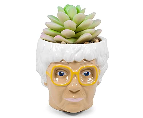 Silver Buffalo The Golden Girls Sophia Face Mini Ceramic Planter Decor | Official TV Show Collectible | Small Flower Pot For Indoor Plants, Includes Artificial Succulent | 3 Inches 3 Silver Buffalo The Golden Girls Sophia Face Mini Ceramic Planter Decor | Official TV Show Collectible | Small Flower Pot For Indoor Plants, Includes Artificial Succulent | 3 Inches