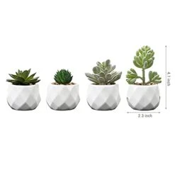MyGift Set Of 4 Mini Assorted Artificial Succulent Fake Plants In Modern White Textured Ceramic Plant Pots 11 MyGift Set Of 4 Mini Assorted Artificial Succulent Fake Plants In Modern White Textured Ceramic Plant Pots -Artificial Trees Store 31i5EeVpB8S