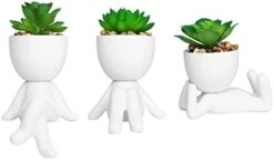 Zerzsy 3 PCS Cute Artificial Succulent Plants With Creative Human Shaped Pots, Mini Potted Succulents Decor For Home Decor (Matte Black) -Artificial Trees Store 31kDNfyvkL. AC