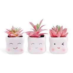 Tiita Artificial Faux Succulents In Pots Fake Plants Ceramic Arrangement Planter Small Mini Tiny Decoration For Home Office Desk Window Sill Bathroom Bedroom Outdoor Indoor