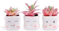 Tiita Artificial Faux Succulents In Pots Fake Plants Ceramic Arrangement Planter Small Mini Tiny Decoration For Home Office Desk Window Sill Bathroom Bedroom Outdoor Indoor -Artificial Trees Store 31keFOB5ZmL. AC 1