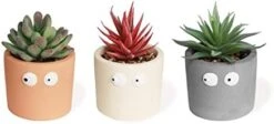 Zerzsy 3 PCS Cute Artificial Succulent Plants With Creative Human Shaped Pots, Mini Potted Succulents Decor For Home Decor (Matte Black) -Artificial Trees Store 31mbcdtxuFL. AC