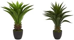 Nearly Natural 30” Agave Artificial Plant, Green 9 Nearly Natural 30” Agave Artificial Plant, Green -Artificial Trees Store 31mv0Q2hOHL. AC