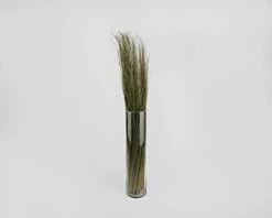 Dried Décor Dune Grass - Perfect For Home Décor, Vases, Wedding, Floral Arrangements, Garden, Office 9 Dried Décor Dune Grass - Perfect For Home Décor, Vases, Wedding, Floral Arrangements, Garden, Office -Artificial Trees Store 31ov93jcGUL