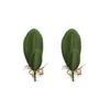 VOSAREA Artificial Orchid Leaves Fake Orchid Leaf Artificial Orchid Plant Fake Flower Leaf Home Office Wedding Christmas Decoration 2pcs Orchids Flowers Decoration Orchid Leaves Artificial -Artificial Trees Store 31pEGtaKf7L
