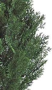 Silk Tree Warehouse One UV Rated Outdoor Artificial 4 Foot Cedar Topiary Tree 7 Silk Tree Warehouse One UV Rated Outdoor Artificial 4 Foot Cedar Topiary Tree - Image 5