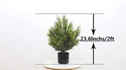 Momoplant 2 Foot Outdoor Artificial Boxwood Garden Torch Shaped Topiary Artificial Topiaries Bushes Potted Fake Plants Company Procurement Outdoor/Indoor Decor（Set Of 2） -Artificial Trees Store 31rN85PJO7S