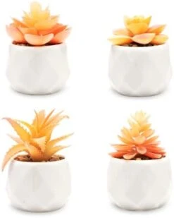 VIVERIE Rose Pink Faux Succulents In White Ceramic Pot Set Of 4 - Plant Gifts, Cute Aesthetic Pink Room, Home Decor Accents, Centerpieces, Bathroom Decor, Mum Gifts, Cactus Decor, Succulents Wedding -Artificial Trees Store 31rb1k8sNtL. AC