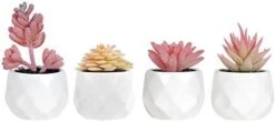 Tiita Artificial Faux Succulents In Pots Fake Plants Ceramic Arrangement Planter Small Mini Tiny Decoration For Home Office Desk Window Sill Bathroom Bedroom Outdoor Indoor -Artificial Trees Store 31t6yKUJRL. AC 1