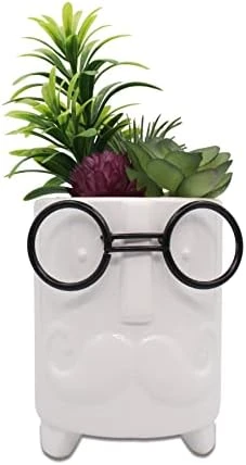 ALIWINER Artificial Succulents Plants With Ceramic Pot Decor Figurines Living Room Decor Home Decoration 8 ALIWINER Artificial Succulents Plants With Ceramic Pot Decor Figurines Living Room Decor Home Decoration - Image 6