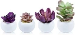 Tiita Artificial Faux Succulents In Pots Fake Plants Ceramic Arrangement Planter Small Mini Tiny Decoration For Home Office Desk Window Sill Bathroom Bedroom Outdoor Indoor -Artificial Trees Store 31wliordvmL. AC 1