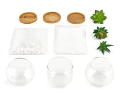 Mkono Artificial Succulent In Clear Glass Pot, Set Of 3 Mini Potted Fake Plants For Women Office Decor Small Faux Green Plant With BambooTray For Bookshelf Bathroom Kitchen Decor Tabletop Centerpiece -Artificial Trees Store 31xBoR5xQbL