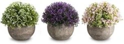 Opps Mini Artificial Plants Plastic Fake Green Colorful Flower Topiary Shrubs With Gray Pot For Home Décor – Set Of 3 -Artificial Trees Store 41 8h7D2FyL. AC