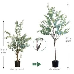 CHUVIM Artificial Eucalyptus Tree 6FT Tall Fake Silver Dollar Leaves Faux Eucalyptus Stems, Mordern Artificial Tree Plants For Home, Office, Courtyard Decor, Perfect Housewares Gift 8 CHUVIM Artificial Eucalyptus Tree 6FT Tall Fake Silver Dollar Leaves Faux Eucalyptus Stems, Mordern Artificial Tree Plants For Home, Office, Courtyard Decor, Perfect Housewares Gift -Artificial Trees Store 410W5TGmCOL