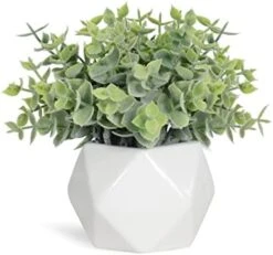 Tiita Artificial Faux Succulents In Pots Fake Plants Ceramic Arrangement Planter Small Mini Tiny Decoration For Home Office Desk Window Sill Bathroom Bedroom Outdoor Indoor -Artificial Trees Store 410YRkQwxL. AC 1