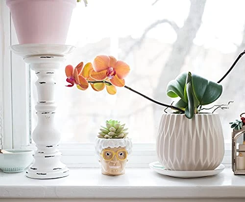 Silver Buffalo The Golden Girls Sophia Face Mini Ceramic Planter Decor | Official TV Show Collectible | Small Flower Pot For Indoor Plants, Includes Artificial Succulent | 3 Inches 5 Silver Buffalo The Golden Girls Sophia Face Mini Ceramic Planter Decor | Official TV Show Collectible | Small Flower Pot For Indoor Plants, Includes Artificial Succulent | 3 Inches - Image 3