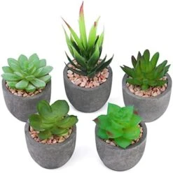 Iuuidu Artificial Potted Plant, Faux Succulent In Pot Emotional Cement Potted Plant Animated Artificial Succulents Decor For Home Living Room Bedroom And Office(Shy) 26 Iuuidu Artificial Potted Plant, Faux Succulent In Pot Emotional Cement Potted Plant Animated Artificial Succulents Decor For Home Living Room Bedroom And Office(Shy) -Artificial Trees Store 411COUMVyDL. AC