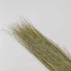 Dried Décor Dune Grass - Perfect For Home Décor, Vases, Wedding, Floral Arrangements, Garden, Office -Artificial Trees Store 411MdHEy6FL