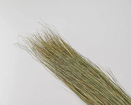 Dried Décor Dune Grass - Perfect For Home Décor, Vases, Wedding, Floral Arrangements, Garden, Office 3 Dried Décor Dune Grass - Perfect For Home Décor, Vases, Wedding, Floral Arrangements, Garden, Office