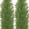 Two 5 Foot Artificial Topiary Cedar Trees Potted Indoor Outdoor Plants 2 Two 5 Foot Artificial Topiary Cedar Trees Potted Indoor Outdoor Plants -Artificial Trees Store 411XKLIehRL 1
