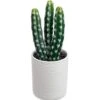 SEEKO Fake Cactus For Home Décor 11" - Artificial Faux Cactus For Southwest, Office, Desk, Shelf - Indoor Fake Plants - White Décor Accents - Modern Farmhouse Decor 2 SEEKO Fake Cactus For Home Décor 11" - Artificial Faux Cactus For Southwest, Office, Desk, Shelf - Indoor Fake Plants - White Décor Accents - Modern Farmhouse Decor -Artificial Trees Store 411fdDGJ7IL