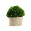 Serene Spaces Living Preserved Boxwood Oval Topiary In A Pot, Boxwood In Planters, Preserved Plant For Boxwood Table Decor, Boxwood Centerpiece, Measures 12.5" Tall, 7.5" Wide & 14" Long -Artificial Trees Store 411wv0rV0xL