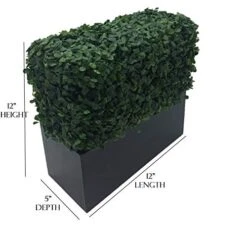 MODEENI Boxwood Topiary Ball 11 Inch Green Artificial Plant Real Look Home Decor Indoor/Outdoor For Porch Patio Or Wedding Round Bush Shrub, Modern Fresh With Hanging Chain 17 MODEENI Boxwood Topiary Ball 11 Inch Green Artificial Plant Real Look Home Decor Indoor/Outdoor For Porch Patio Or Wedding Round Bush Shrub, Modern Fresh With Hanging Chain -Artificial Trees Store 41222HaVPTL