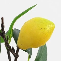 UNIE Artificial Lemon Topiary Mini Tree Potted Fake Plants In Pot For Home Office Decorations -Artificial Trees Store 412D1ArskQL