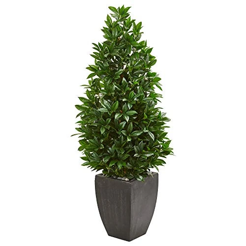 Nearly Natural 56-in. Bay Leaf Cone Topiary Artificial UV Resistant In Black Planter (Indoor/Outdoor) Silk Trees Green 3 Nearly Natural 56-in. Bay Leaf Cone Topiary Artificial UV Resistant In Black Planter (Indoor/Outdoor) Silk Trees Green